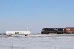 NS 4589